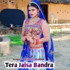 About Tera Jaisa Bandra Song